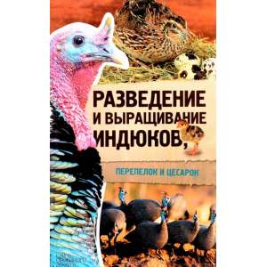 Разведение и выращивание индюков, перепелок и цесарок